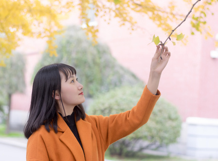 菲律宾宿务机场 宿务机场占地面积是多少